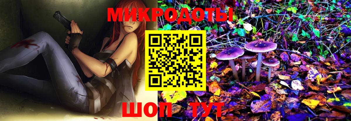 Галлюциногенные грибы прущие грибы  Галлюциногенные грибы Magic Shrooms  продажа наркотиков  Дзержинск  Вход с VPN 