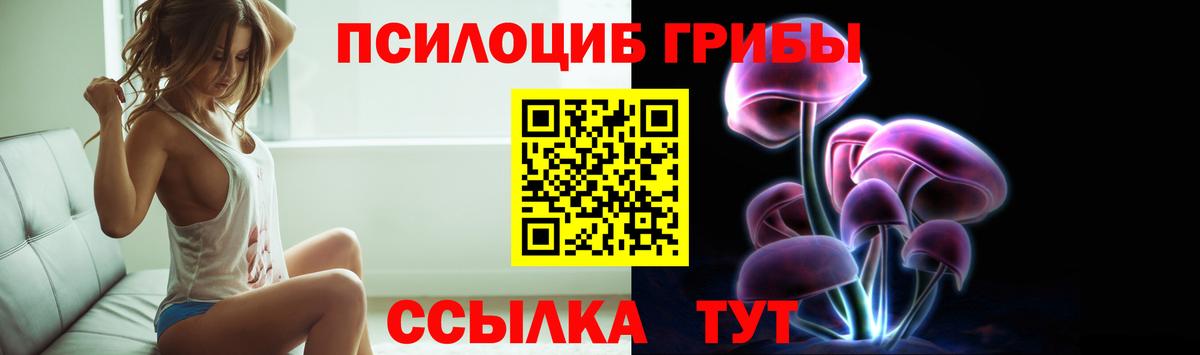 Псилоцибиновые грибы мицелий Дзержинск